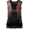 Рюкзак DAKINE TEAM HELI PRO 24L SAMMY CARLSON CAMO 10003267 (0610934384857)